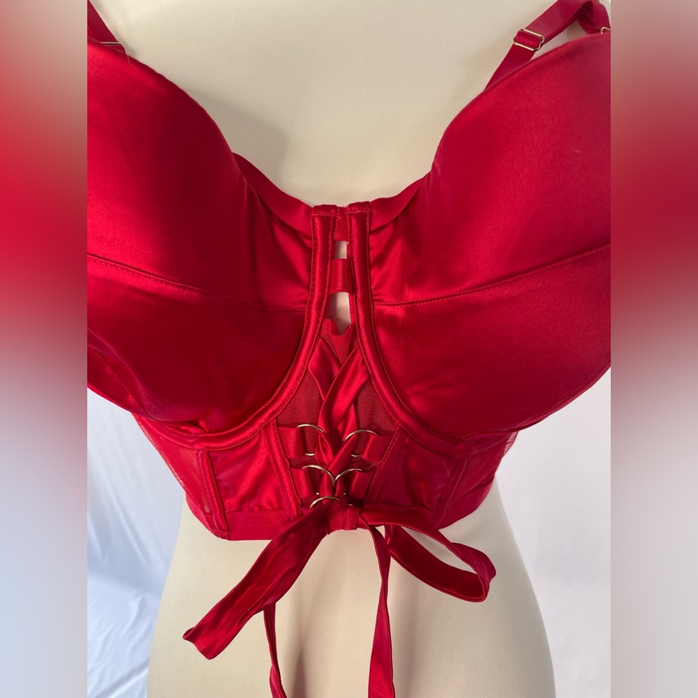 Gabi Fresh by Playful Promises Red Bra, 42I - Picture 4 of 6